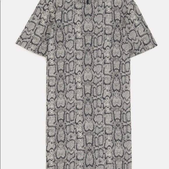 ZARA NWT Snake Print Shift Dress - Picture 6 of 7